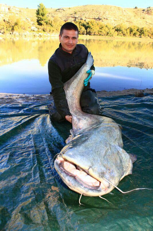 CARP FISHING...... - img-20131113-wa0015.jpg